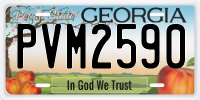 GA license plate PVM2590