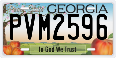 GA license plate PVM2596