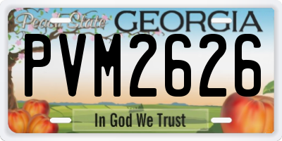 GA license plate PVM2626