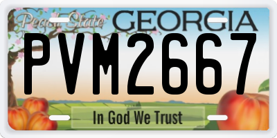 GA license plate PVM2667