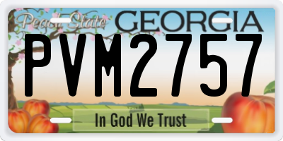 GA license plate PVM2757