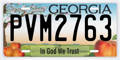 GA license plate PVM2763