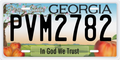 GA license plate PVM2782