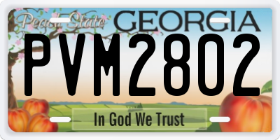 GA license plate PVM2802
