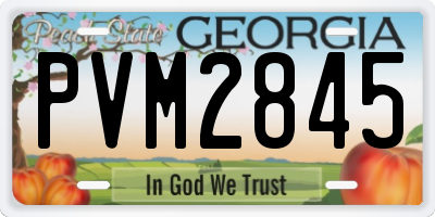 GA license plate PVM2845