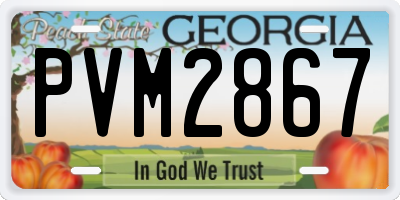 GA license plate PVM2867