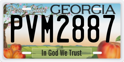GA license plate PVM2887