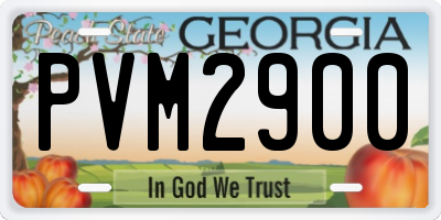GA license plate PVM2900