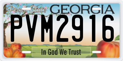 GA license plate PVM2916