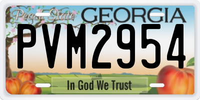GA license plate PVM2954
