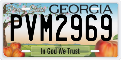 GA license plate PVM2969