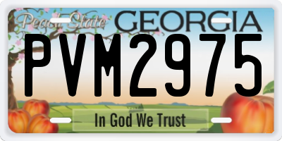 GA license plate PVM2975