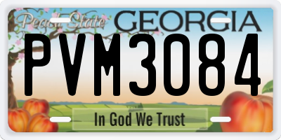 GA license plate PVM3084