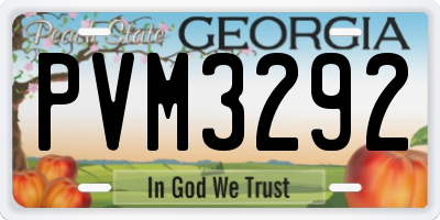 GA license plate PVM3292