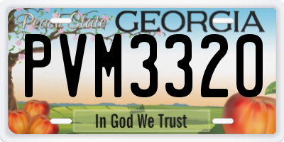 GA license plate PVM3320