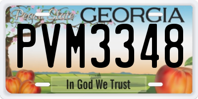 GA license plate PVM3348