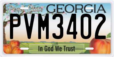GA license plate PVM3402