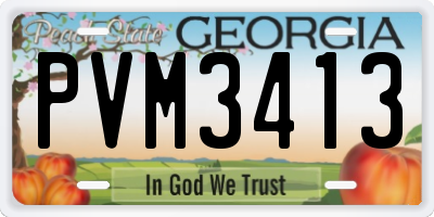 GA license plate PVM3413