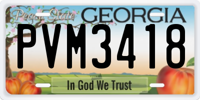 GA license plate PVM3418