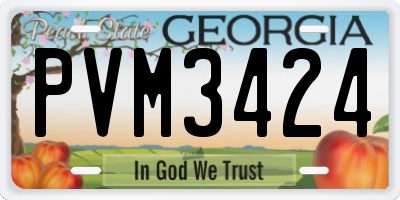 GA license plate PVM3424