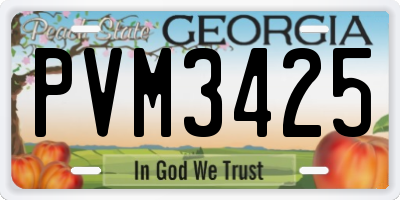 GA license plate PVM3425