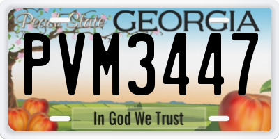 GA license plate PVM3447