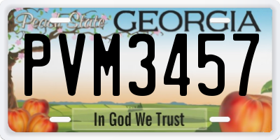 GA license plate PVM3457