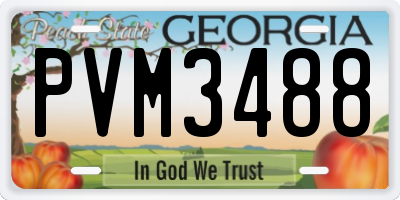 GA license plate PVM3488