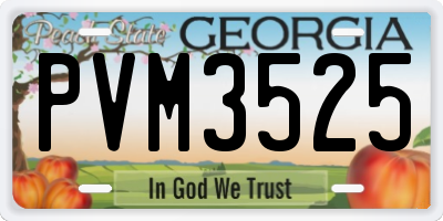 GA license plate PVM3525