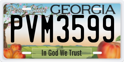 GA license plate PVM3599