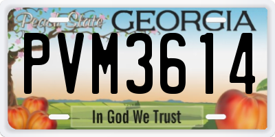 GA license plate PVM3614