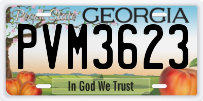 GA license plate PVM3623
