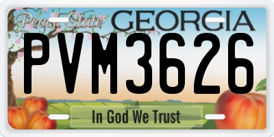 GA license plate PVM3626