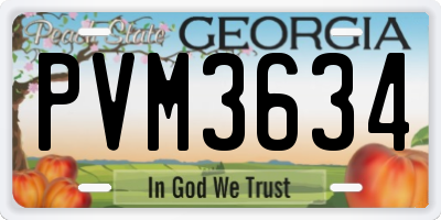 GA license plate PVM3634