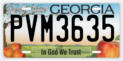 GA license plate PVM3635