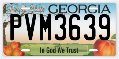 GA license plate PVM3639