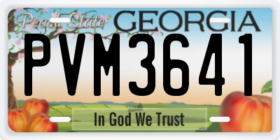 GA license plate PVM3641
