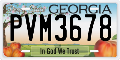 GA license plate PVM3678