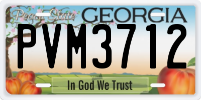 GA license plate PVM3712