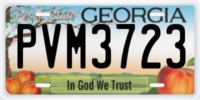 GA license plate PVM3723