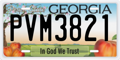 GA license plate PVM3821