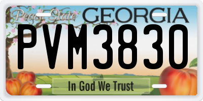 GA license plate PVM3830