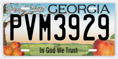 GA license plate PVM3929