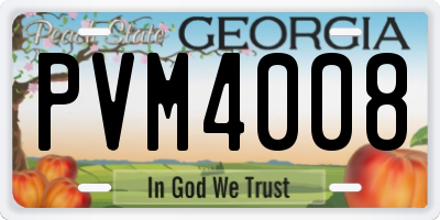 GA license plate PVM4008