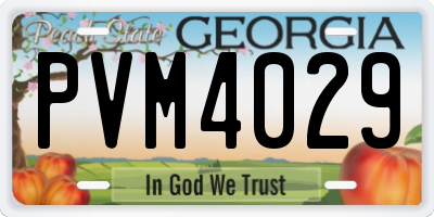 GA license plate PVM4029