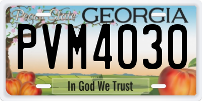 GA license plate PVM4030