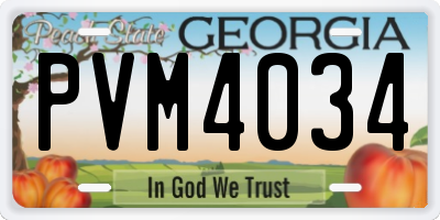 GA license plate PVM4034