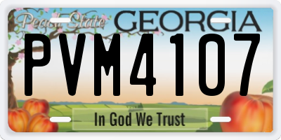GA license plate PVM4107