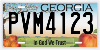 GA license plate PVM4123