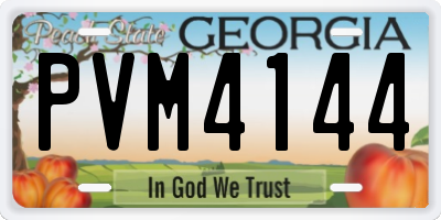 GA license plate PVM4144
